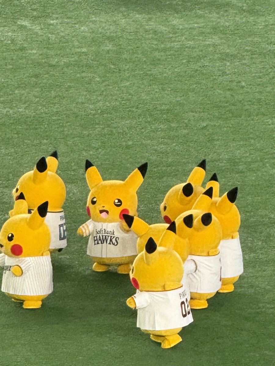 shinowhowatch's tweet photo. オールスター戦観てきたですの((⊂(∩///˙꒳​˙///∩)⊃))ﾌﾝﾌﾝ
ピカチュウいっぱい居たですの✨ https://t.co/qBXu2hNWho