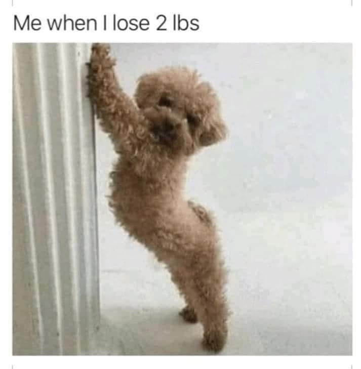 DVMFocus's tweet photo. #DVMFocus #Veterinarian #DVM #VetMed #VetJobs #VeterinaryJobs #HiringVeterinarians #VeterinaryCareers #AssociateVeterinarian #VetRecruitment #VeterinaryRecruiter #VetLife #SmallAnimalVet #EmergencyVet #NewGradVet #VetMedCommunity #VeterinaryProfession https://t.co/eN6OZArnKc