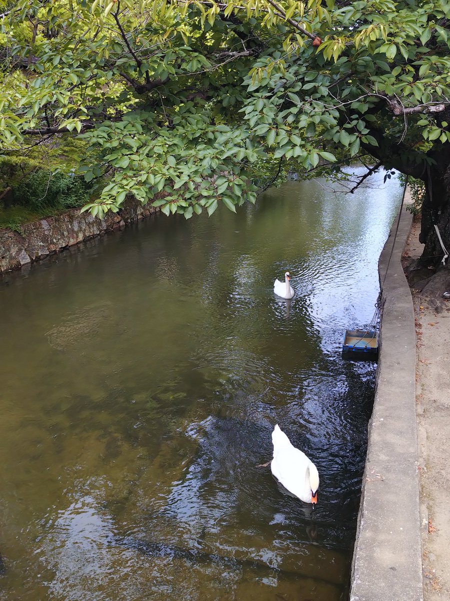 tetetessen's tweet photo. 岡山旅楽しかった〜
やっぱ非日常は刺激的でいいっすね
カブトガニ博物館はバスが昼頃には無くてとても辛かった(往復どちらも1時間弱徒歩) https://t.co/ZjtH2liBbV