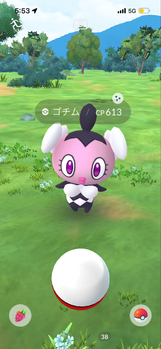 yuluv_x's tweet photo. たくさん色違い出た꒰ᐢ⸝⸝´ඉᯅඉ⸝⸝ᐢ꒱ https://t.co/b0sw0kIzcc