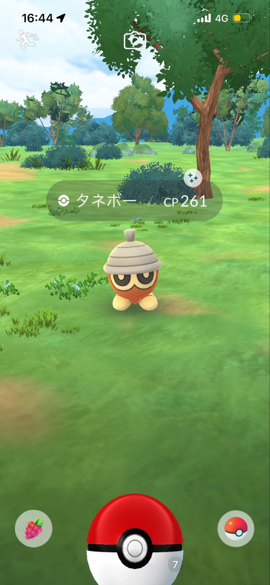 yuluv_x's tweet photo. たくさん色違い出た꒰ᐢ⸝⸝´ඉᯅඉ⸝⸝ᐢ꒱ https://t.co/b0sw0kIzcc
