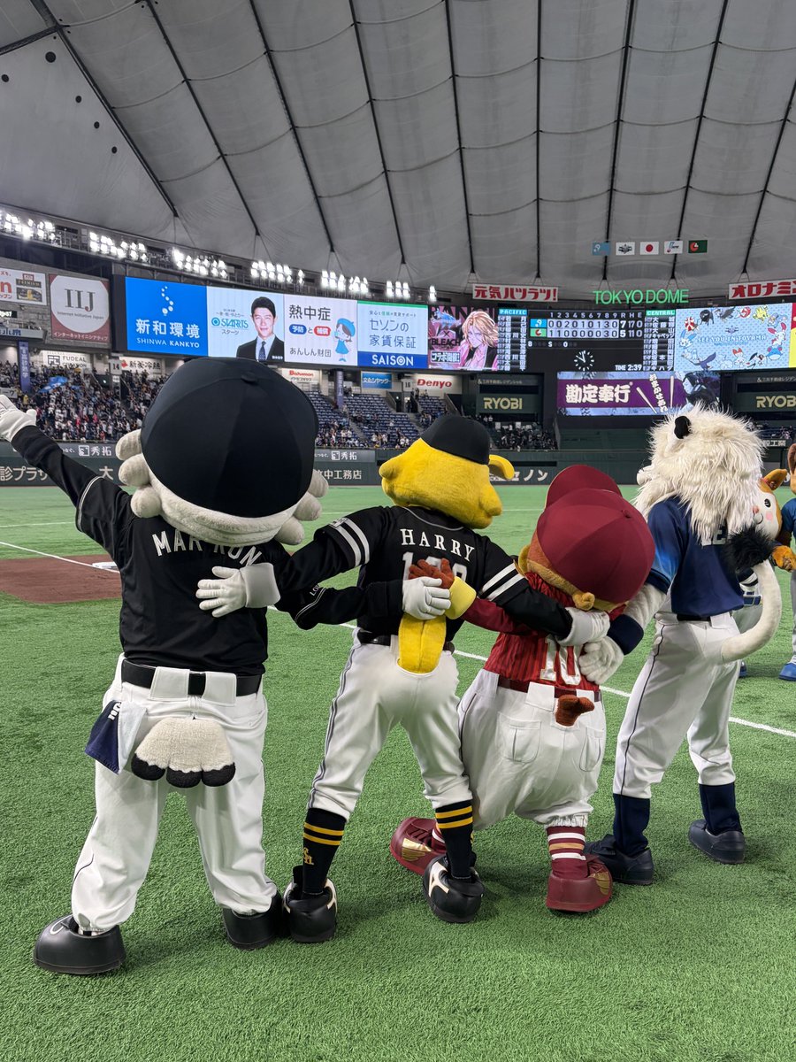 chibalotte_mar's tweet photo. マーです、 第1戦はパ・リーグの勝利！ 明日も応援よろしくね！  #chibalotte #mar_kun #マイナビオールスターゲーム2026 https://t.co/EZC3cMUgVP