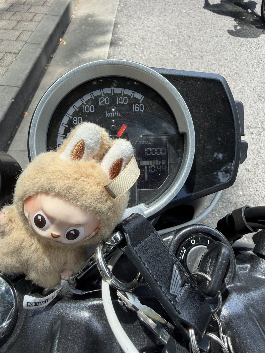 some_toshi's tweet photo. 愛車GB350の走行距離が、
10000kmに達しました✨
らぶぶもこの顔である。

#GB350 https://t.co/mNNH7IDo5p