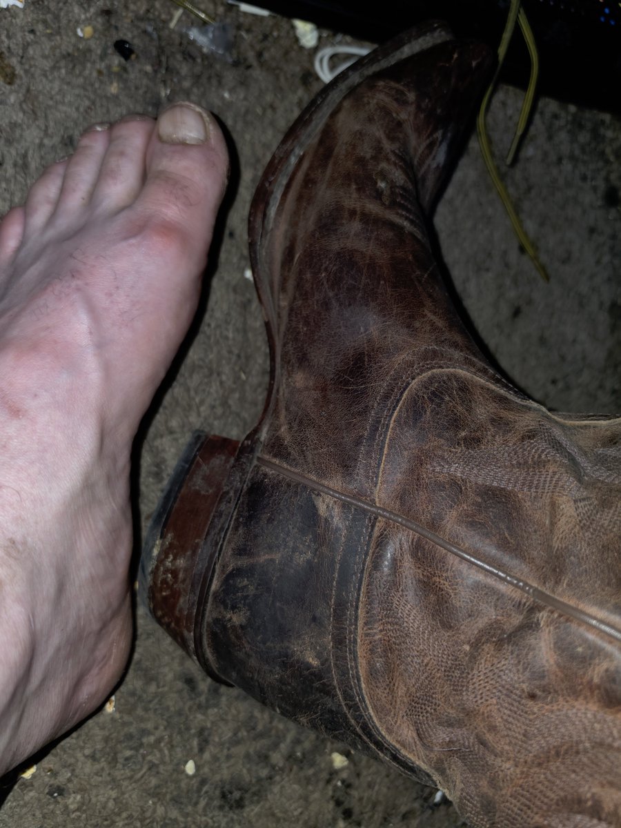AzrielBeast's tweet photo. Size 12 Boots no socks today got u gasing up u fucking perverts get ur shine box out and clean these boots then vacuum that floor fucking boot whore #subhuman #feet #boots #findom #alphamale #popperpig #cashmaster #fetish #bdsm #subpig #simp #financialdomination
@MASTER_UPDATES https://t.co/M6n2roYMK4