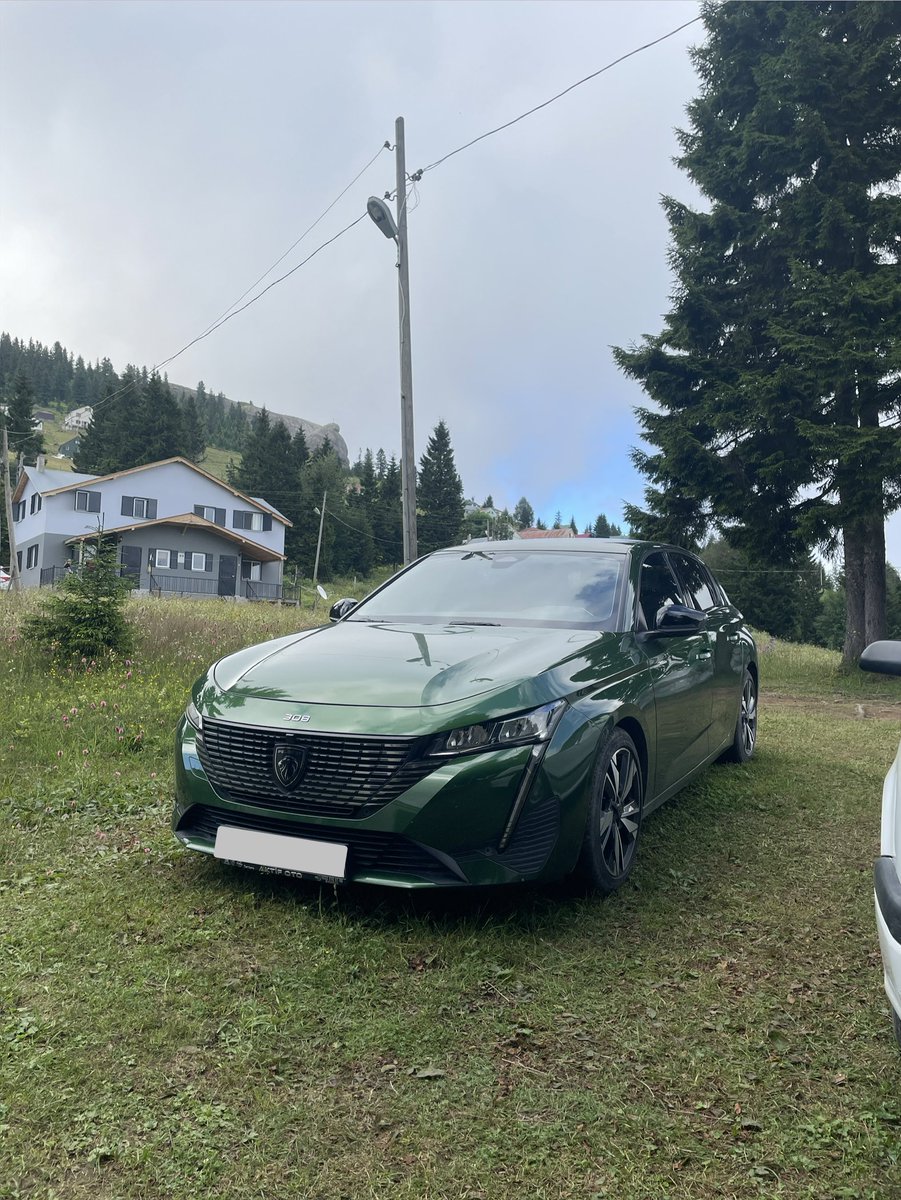 Berat “Eski Mustang” (Ehliyetini aldı) tweet media
