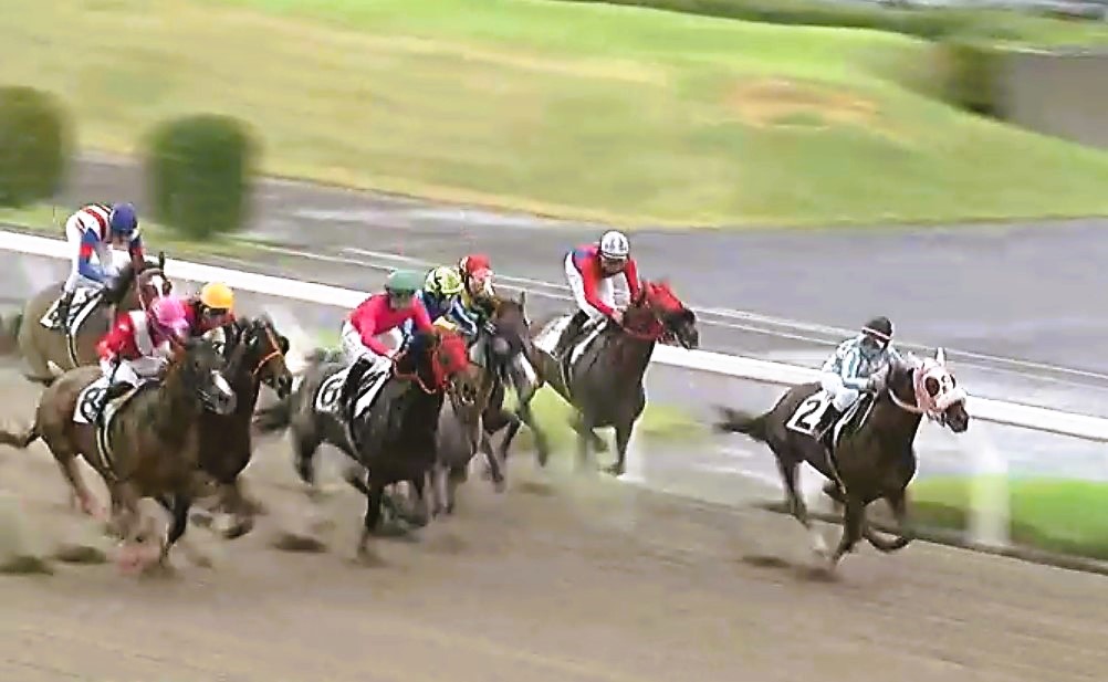 Mizuchi_Y's tweet photo. 川崎・神尾香澄騎手＆シェナチチカカ🏇

2枠からの好スタート。
右を確認しつつinをつく。
外からスウィープレジーナ＆野畑騎手がかぶせてくるも、そのままinキープで第1川崎カーブをコーナリングしてゆく姿が格好イイ！
最内からタイセイルシエル&amp;櫻井騎手！
追撃許さずのシェナさんのヤル気に👏🎉🏆 https://t.co/XAjEzIdV5Q