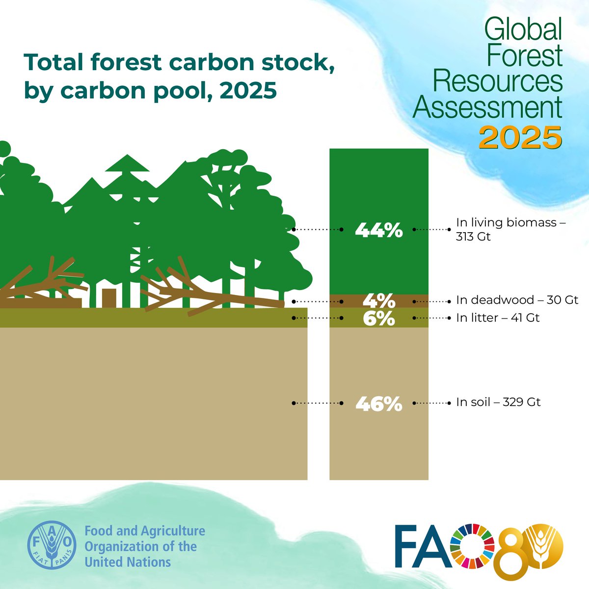 FAOForestry's tweet photo. The forest carbon stock, including all carbon pools, is estimated at 714 gigatonnes, or 172 tonnes per hectare.

Get more data on the world’s forests in @FAO’s Global Forest Resources Assessment 2025 👉 https://t.co/iArtixHde6

#FRA2025 https://t.co/bFSCXKve0W
