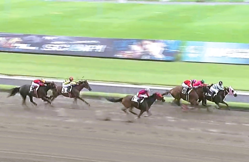 Mizuchi_Y's tweet photo. 川崎・神尾香澄騎手＆シェナチチカカ🏇

2枠からの好スタート。
右を確認しつつinをつく。
外からスウィープレジーナ＆野畑騎手がかぶせてくるも、そのままinキープで第1川崎カーブをコーナリングしてゆく姿が格好イイ！
最内からタイセイルシエル&amp;櫻井騎手！
追撃許さずのシェナさんのヤル気に👏🎉🏆 https://t.co/XAjEzIdV5Q