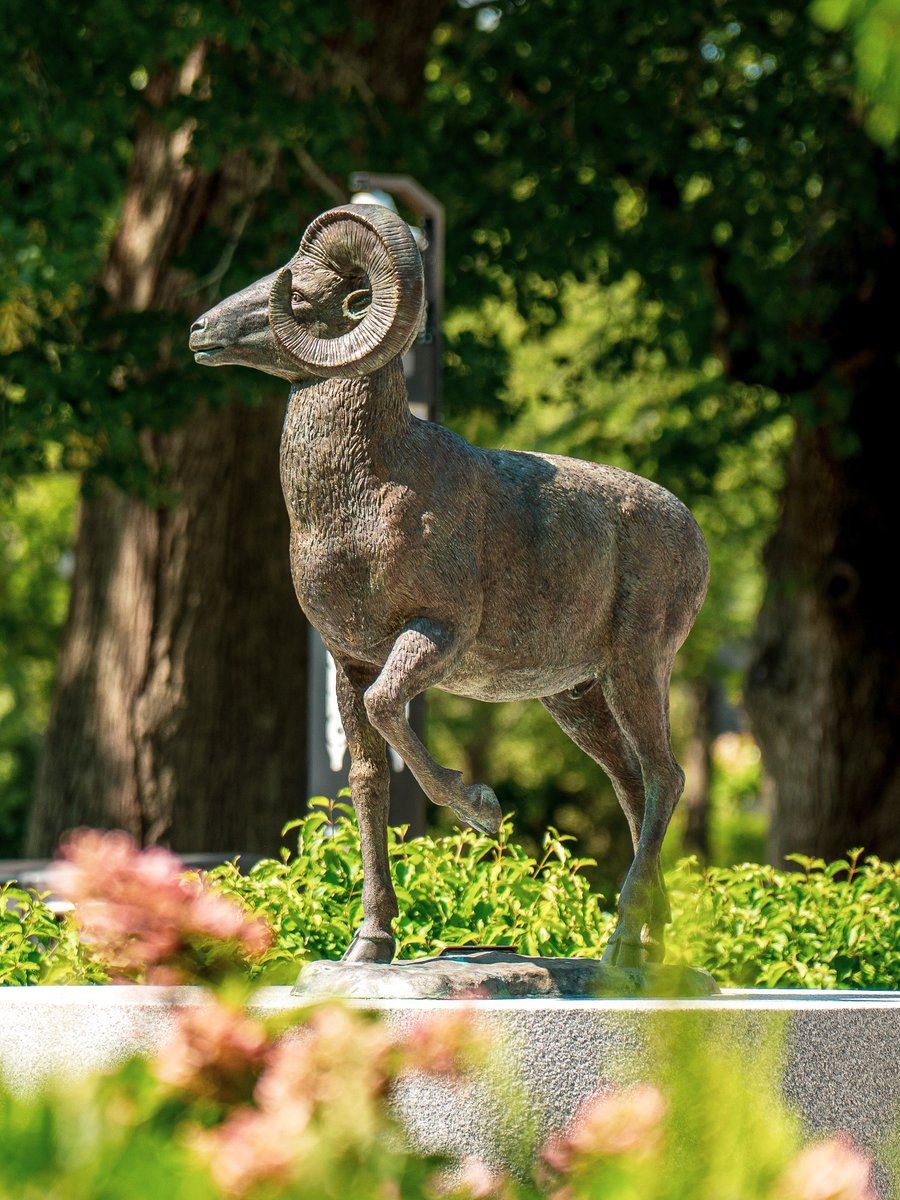 universityofri's tweet photo. We miss you, too, Rams 🐏🩵 https://t.co/RkKfhtAo4T