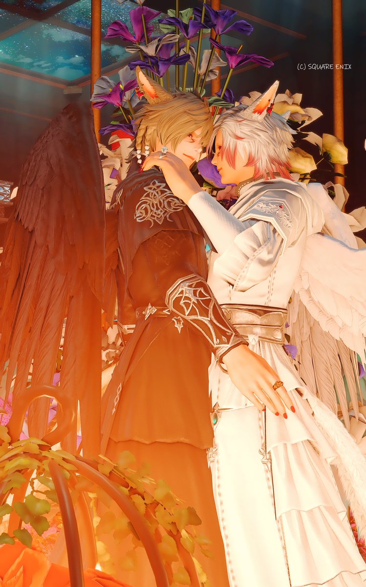 Alice_Aliciera's tweet photo. 愛猫がFATEに通って黒羽をサプライズプレゼントしてくれた~~!!
嬉しすぎるのと何をお返しできるかなの気持ち
𝑔ℴℴ𝒹𝓃𝒾𝑔𝒽𝓉🐈⬛🐾˚‧︵‿☆ #ST_arse https://t.co/wsQmJwDLku