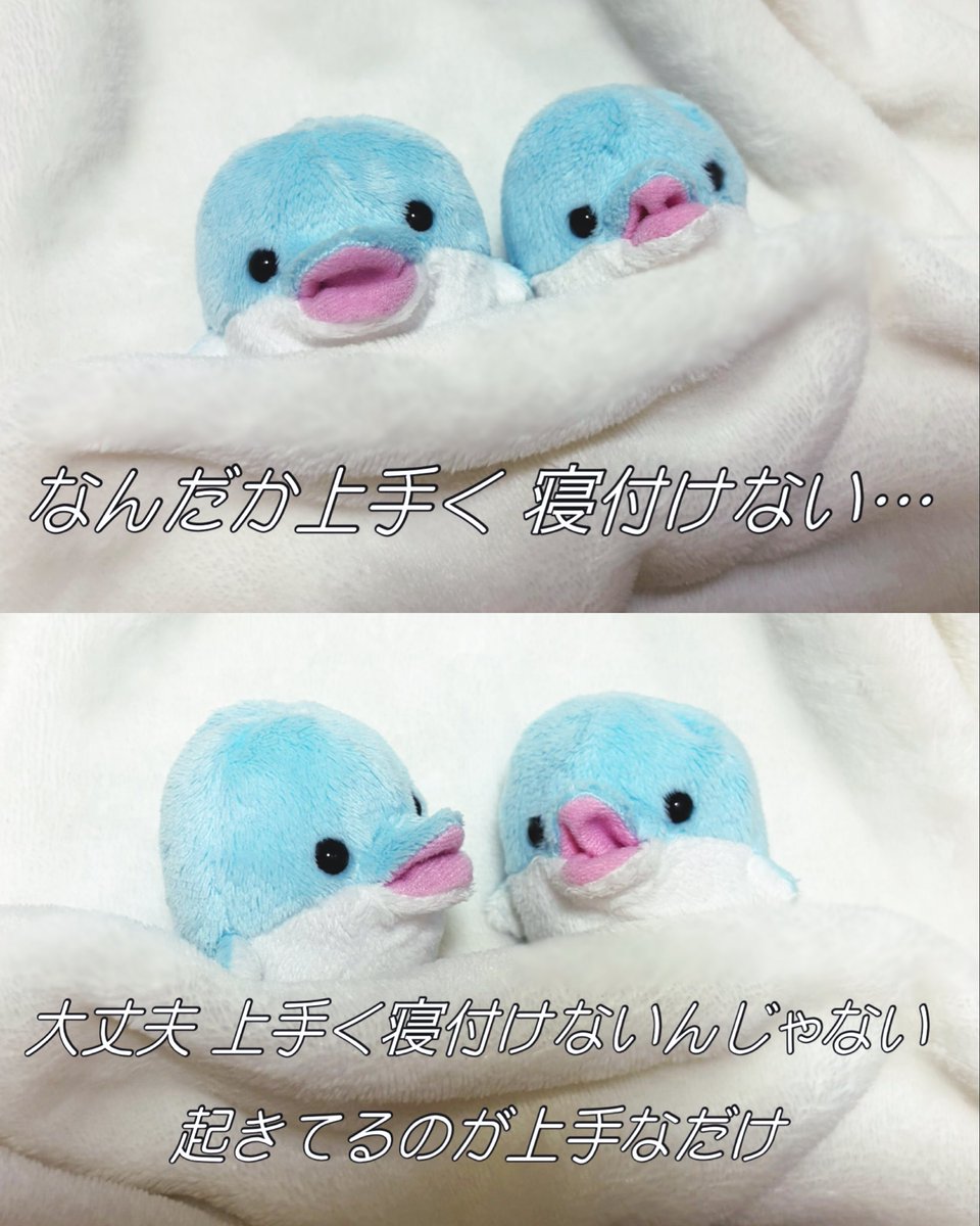 lady_chisaine's tweet photo. 上手な🐬たち https://t.co/F2lSbZdJVf