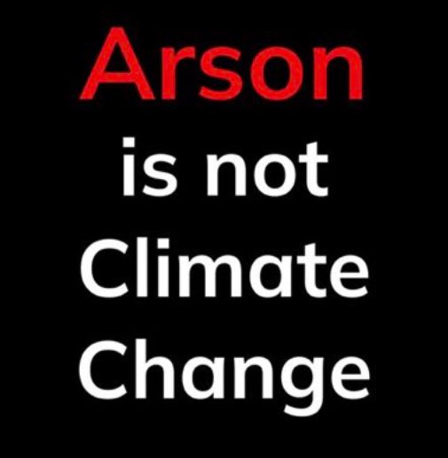 BGatesIsaPyscho's tweet photo. Reminder that Trees don’t just spontaneously combust &amp; that over 200 people across Europe are now wanted for Arson. https://t.co/MImb5S8dyQ