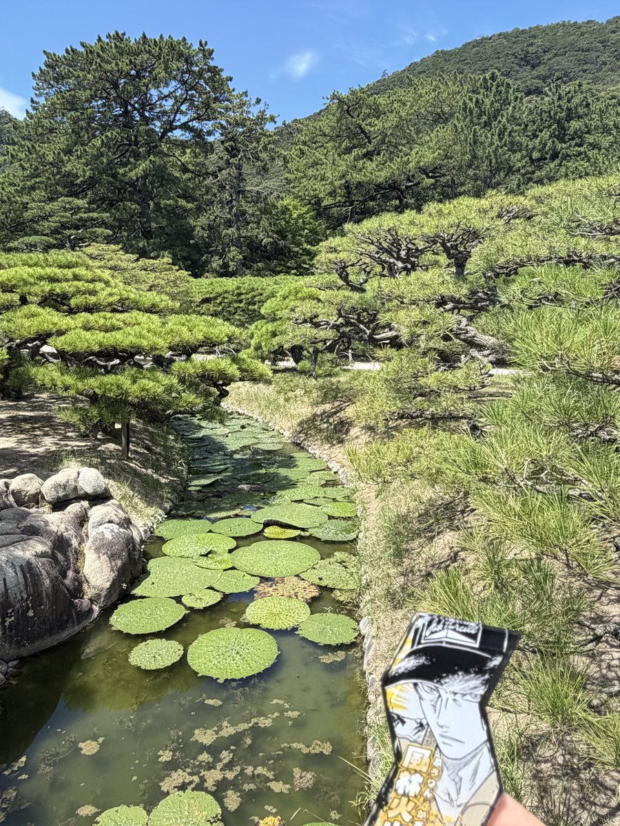carinmars's tweet photo. 真田と四国初上陸。

徐かなること「林」の如く、
栗林公園へ🌲

……と言いたいところですが、
暑さは侵掠すること「火」の如くでした🔥 https://t.co/WlW6JeWhxU