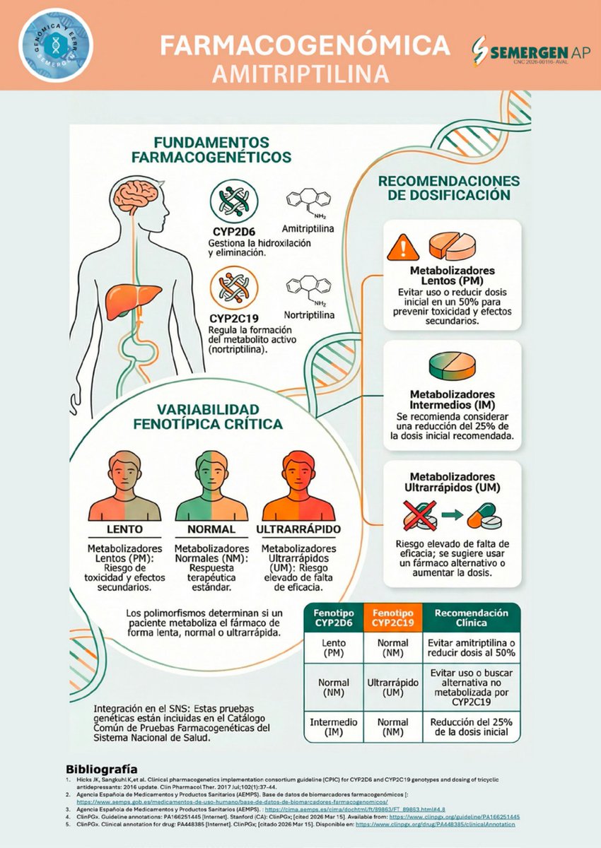 SEMERGENap's tweet photo. 📊INFOGRAFÍA
Farmacogenómica y amitriptilina
Grupo de Trabajo de Medicina Genómica Personalizada y Enfermedades Raras de SEMERGEN
@genomicaGT 
https://t.co/SYBsWJjhkt

#EERR #EnfermedadesRaras #Farmacogenómica

. https://t.co/5gaXsRoYLL