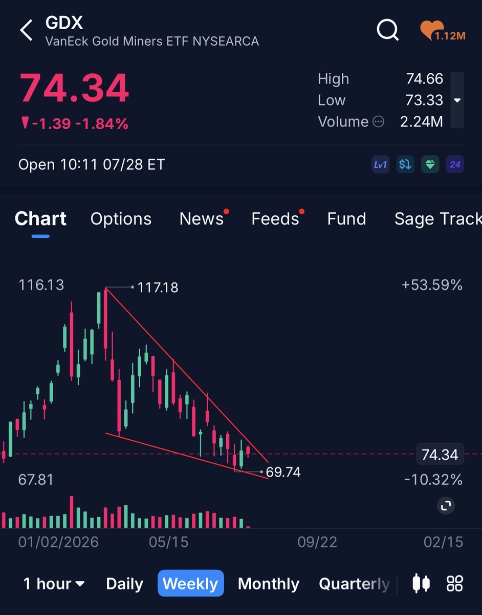 TheDewkee's tweet photo. Grabbed some $GDX calls here for September https://t.co/zGlCBgVoCV