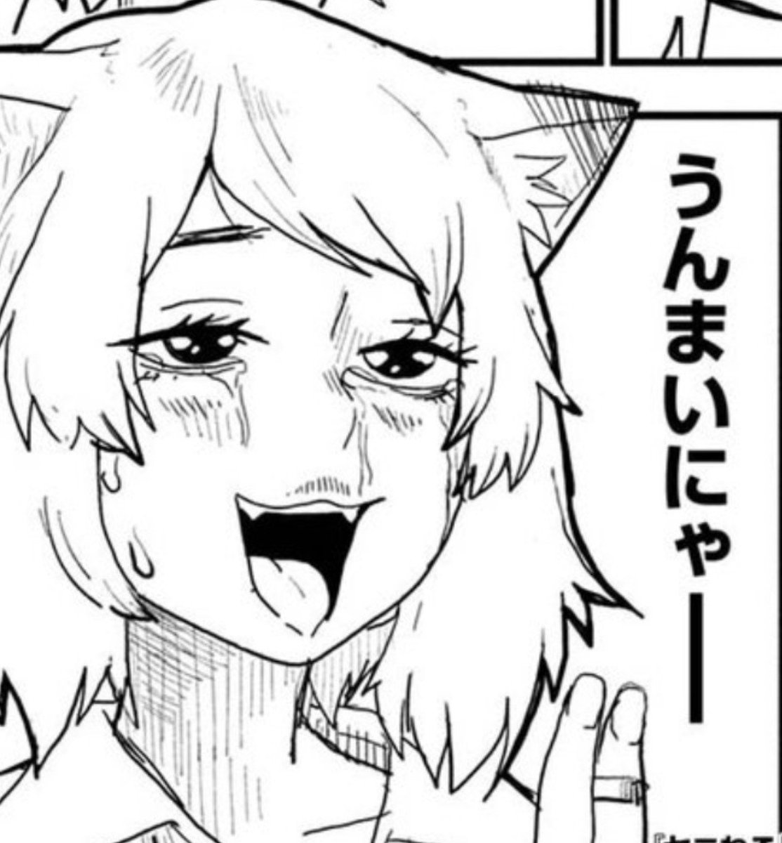 prtn0721's tweet photo. この夏見たい作品①

くりまんじゅう✖ヤニねこ https://t.co/YqnOBP6OdQ