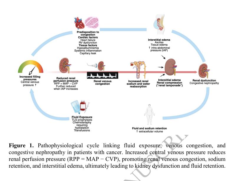 CKJsocial's tweet photo. Drowning the kidneys: 

from fluid overload to physiology-guided fluid management in onco-hematology

https://t.co/OaRMrYGEfC https://t.co/Sst8b97uuJ