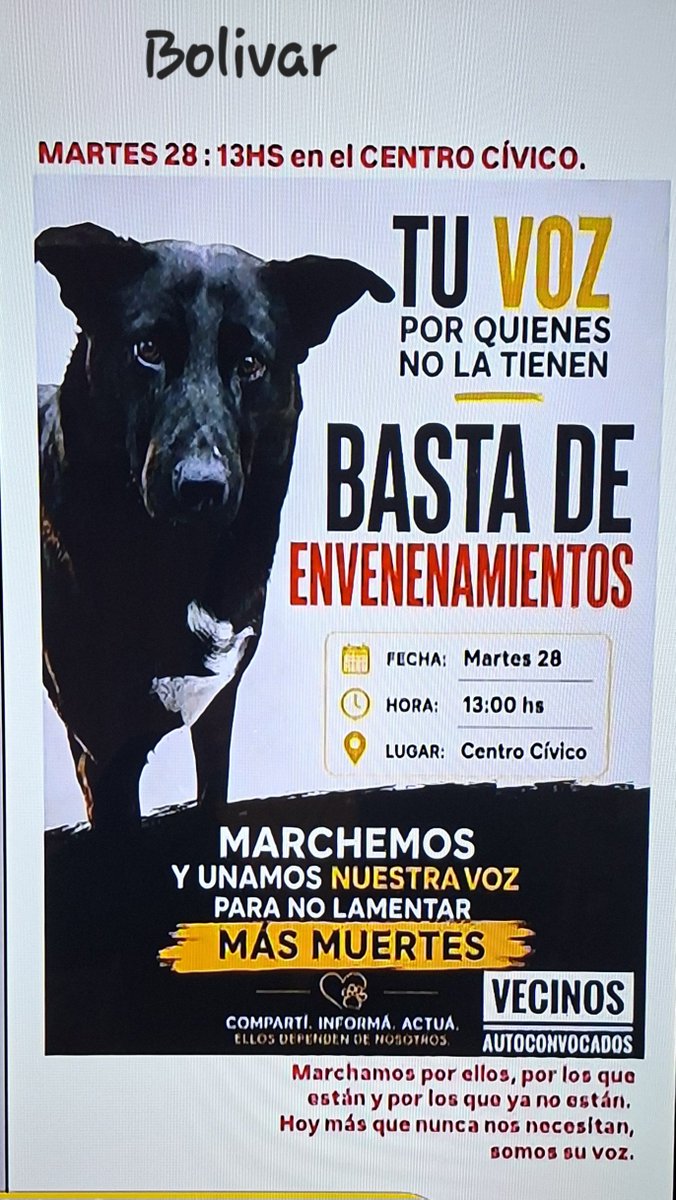 alesoane's tweet photo. Atención BOLIVAR !!!
#Nomásenvenenamientodeperros
Difundir !
Repost ! https://t.co/xD2LY0rtdk