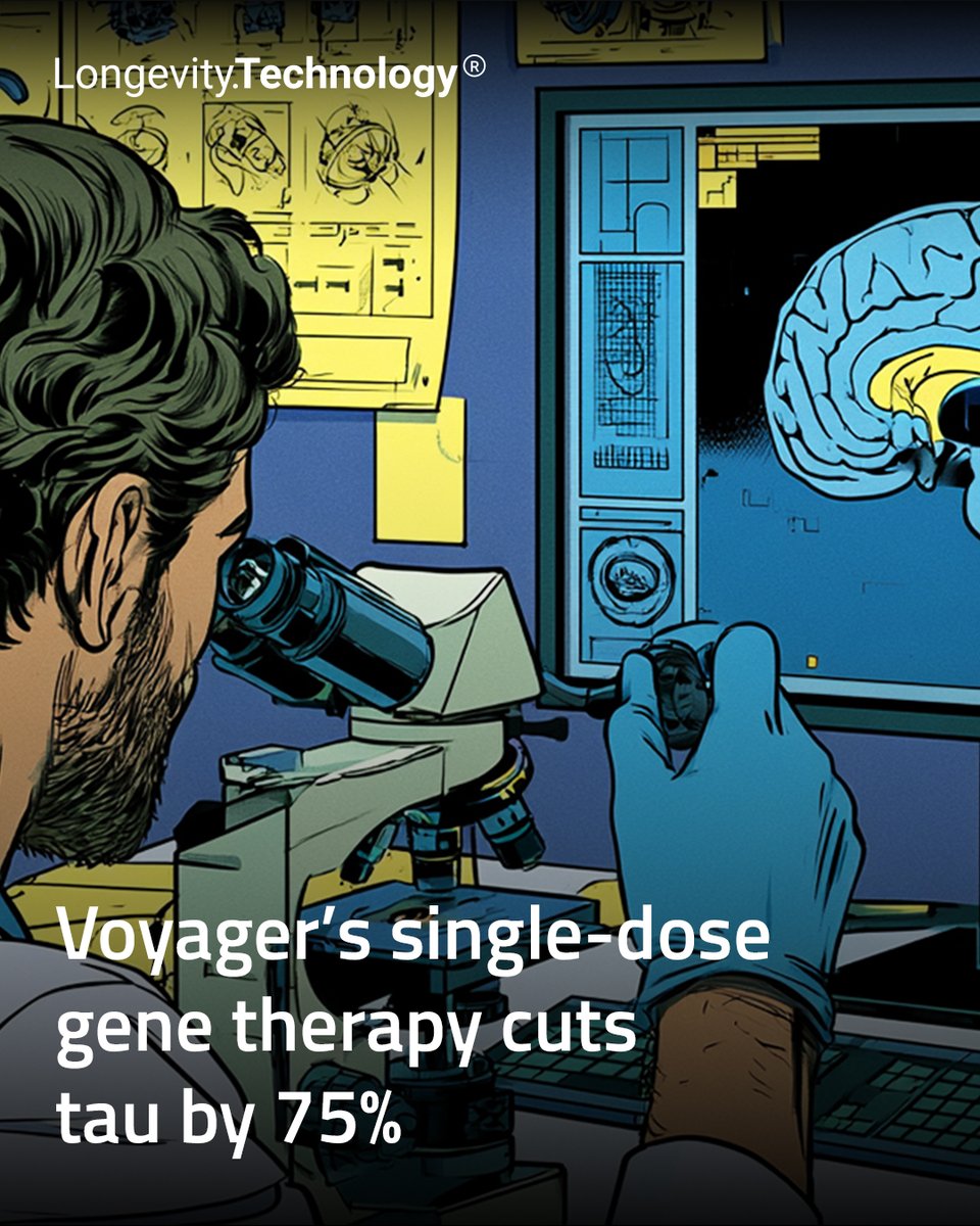 LongevityTech's tweet photo. New six-month data strengthen the case for a one-time Alzheimer’s treatment as Voyager prepares to begin human trials later this year.

https://t.co/LCZ5teBv58

#longevity #geroscience #alzheimers #genetherapy #tau https://t.co/ECmZrEJwMu