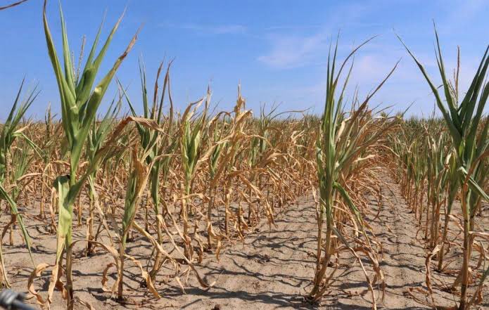Eco365SI's tweet photo. Don’t get it twisted…there is NO economic prosperity on a dying planet.
No national security without climate security.
No lasting peace where livelihoods continue to collapse.

Climate action is the only pathway to survival.
#ClimateActionNow https://t.co/IxA7JH3SYk