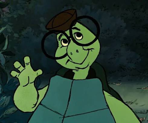 TobyTheTurtleRh's tweet photo. They say slow and steady wins the race… https://t.co/hum85Uurlz