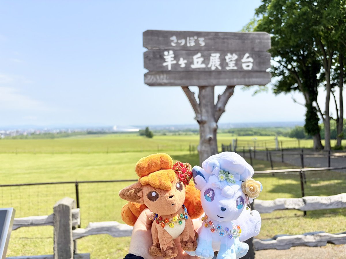 Mariarokon's tweet photo. Boys, be ambitious!✨🐏✨

#クラーク博士
#羊ヶ丘展望台
#ポケぬい #ぬい撮り #ぬい活 https://t.co/Byk9iTwNwX