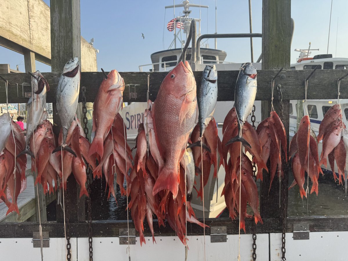 FloridaManEric's tweet photo. Nice Afternoon!
#fishing #florida #fishingtrip
https://t.co/JnVQZSHtm0 https://t.co/0HIs8lZ1vc