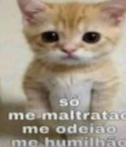 paramountplusbr's tweet photo. @Deba197 FOI MAL... Só apontam o que faço de errado também https://t.co/GwEB7tk3o4