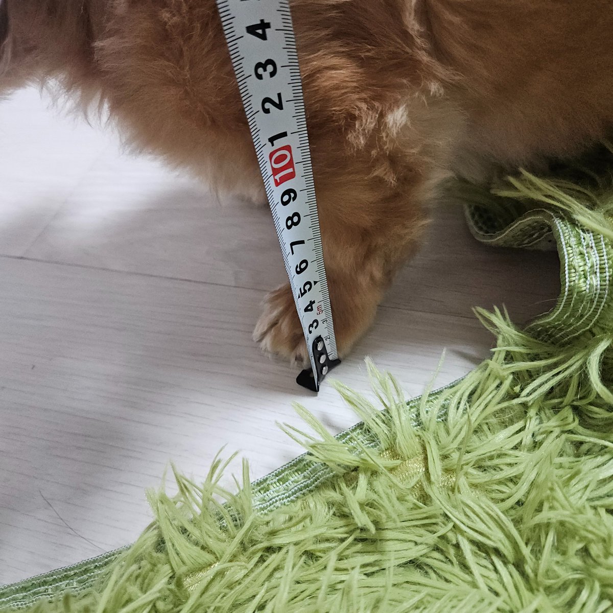 우디 tweet media