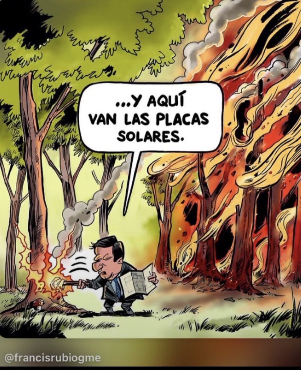 steiner3162's tweet photo. @sanchezcastejon La diferencia entre un Fraudillo y  un Caudillo. https://t.co/4QQldaaKMW