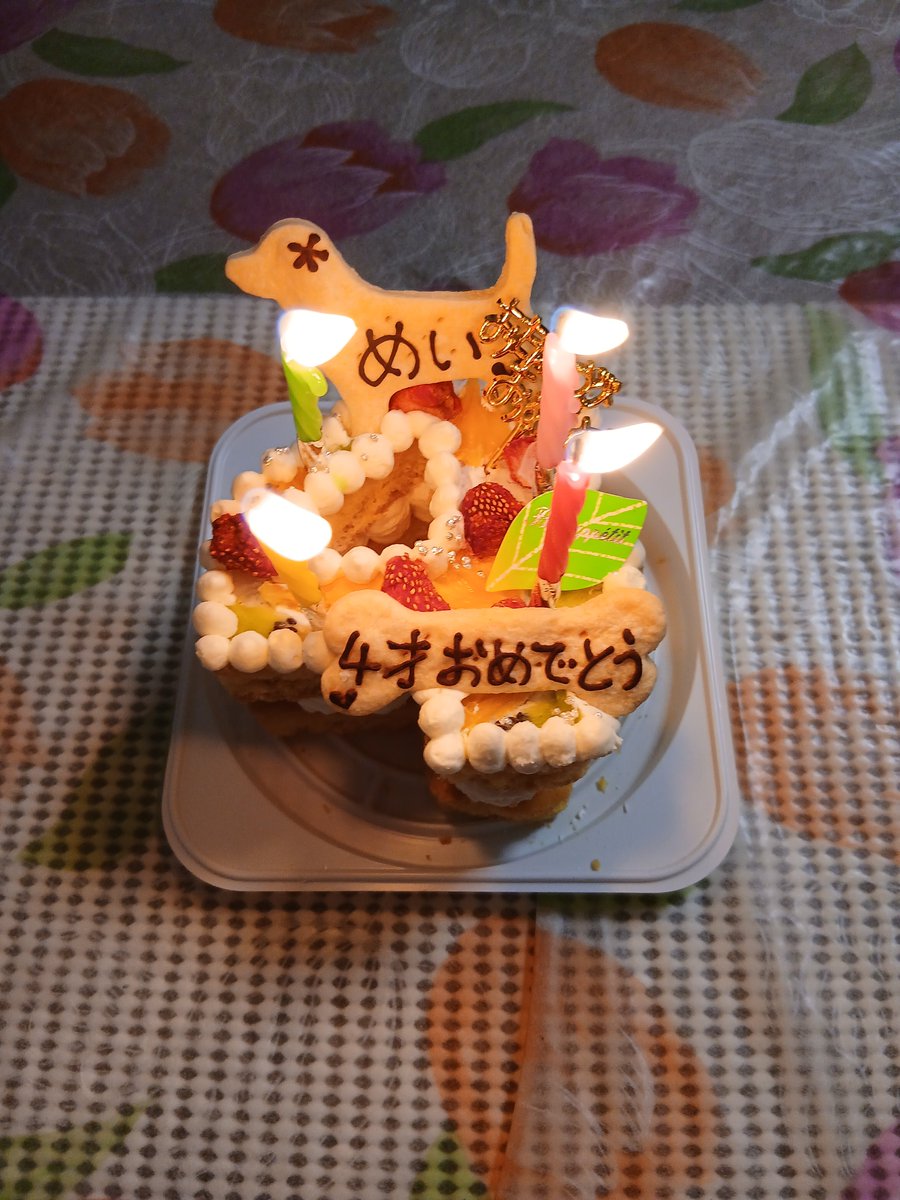 syn3104's tweet photo. こんばんワン🐾本日7/28はわたちめいちゃん4歳の #Birthday だワン🐾 #ケーキ 食べて #プレゼント にメッシュのベット貰っただワンよぉー🐾皆もいい犬でケーキ貰うだワンよぉー🐾
 #ビーグル #Beagle #犬との生活 https://t.co/cT5xHDW8rH
