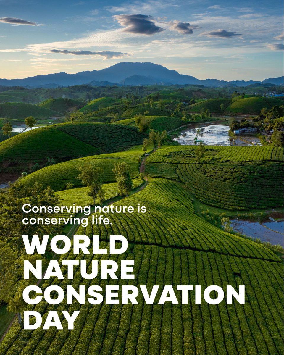 turkiyecop31's tweet photo. Nature does more than sustain us; it shapes our future. 🌿

World Nature Conservation Day reminds us that safeguarding biodiversity, natural resources, and the balance of life is a shared responsibility. A more liveable world is only possible through collective action.

#WorldNatureConservationDay