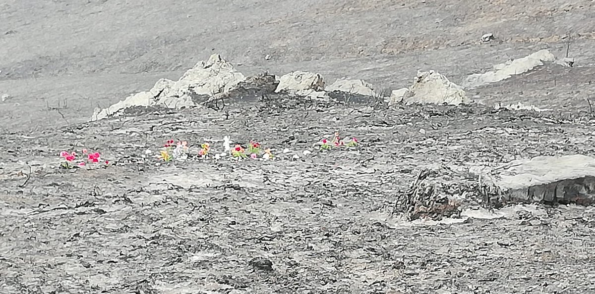 martinezgajulio's tweet photo. Así ha quedado el Alto Rey, tras el #IFLaMierla. Justo ahí, estaban las cenizas de mi hermano, fallecido en el incendio de La Riba, de 2005.

Sólo pido que se depuren todas las responsabilidades y que caiga todo el peso de la ley sobre el responsable.

#IFGuadalajara. https://t.co/hM4FQyWbHr