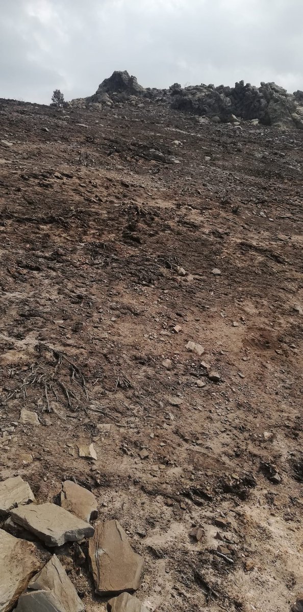 martinezgajulio's tweet photo. Así ha quedado el Alto Rey, tras el #IFLaMierla. Justo ahí, estaban las cenizas de mi hermano, fallecido en el incendio de La Riba, de 2005.

Sólo pido que se depuren todas las responsabilidades y que caiga todo el peso de la ley sobre el responsable.

#IFGuadalajara. https://t.co/hM4FQyWbHr