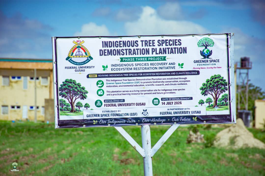 GreenerSpaceNG's tweet photo. Greener Space Foundation for Environmental Sustainability (GSF) successfully launched Phase Three – Indigenous Species Recovery and Ecosystem Restoration Initiative at Federal University Gusau.
 Our Indigenous Trees • Our Heritage • Our Future.

#GreenerSpaceFoundation #Climate https://t.co/HWu43DeCy0