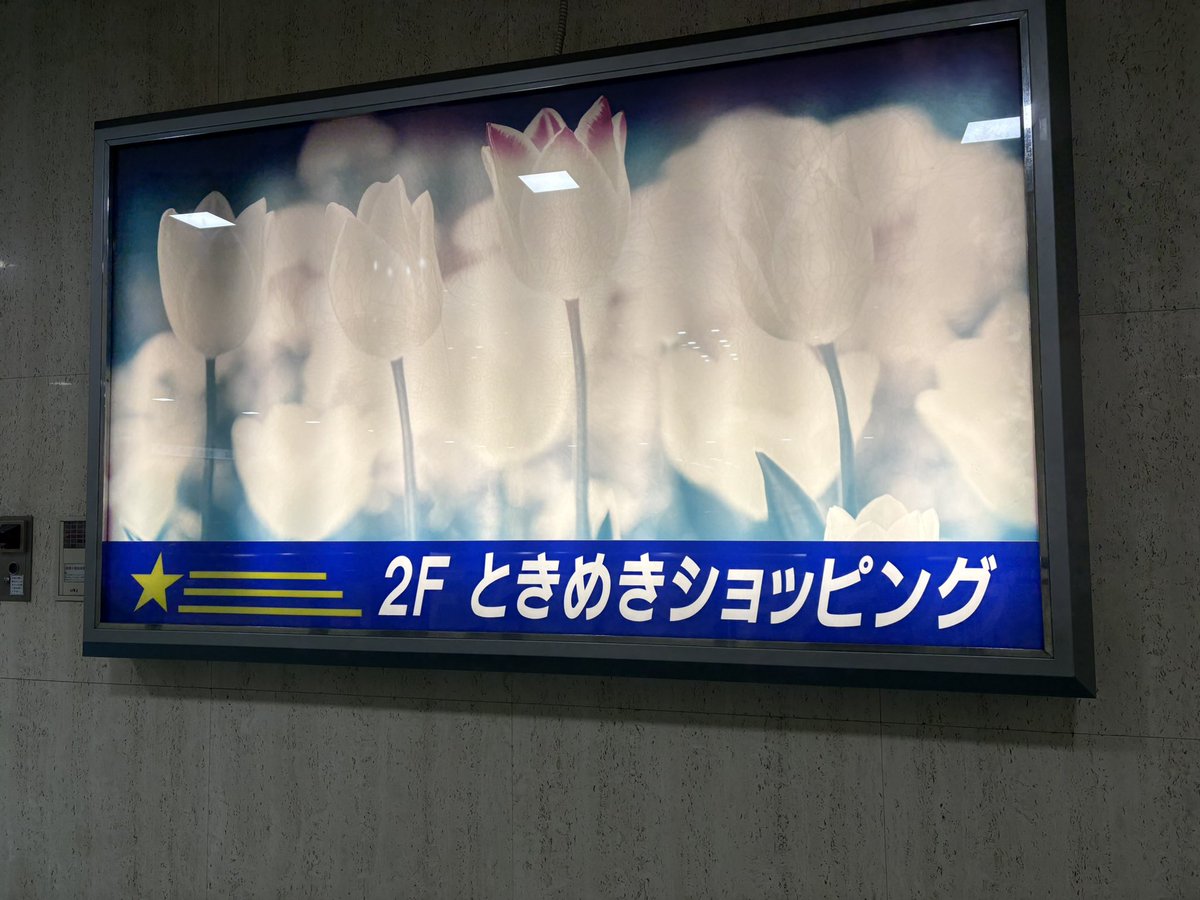 dlc121ks's tweet photo. 昨日はMでした🥳🥳安定の楽しさ🫶本当に楽しかった🥰
まさかのまさかが起きてテンション上がったよ🫶🫶🫶進展あるのかわからないけど、これからも追い続けます🏃‍♀️ https://t.co/eJaSGHW3Ef