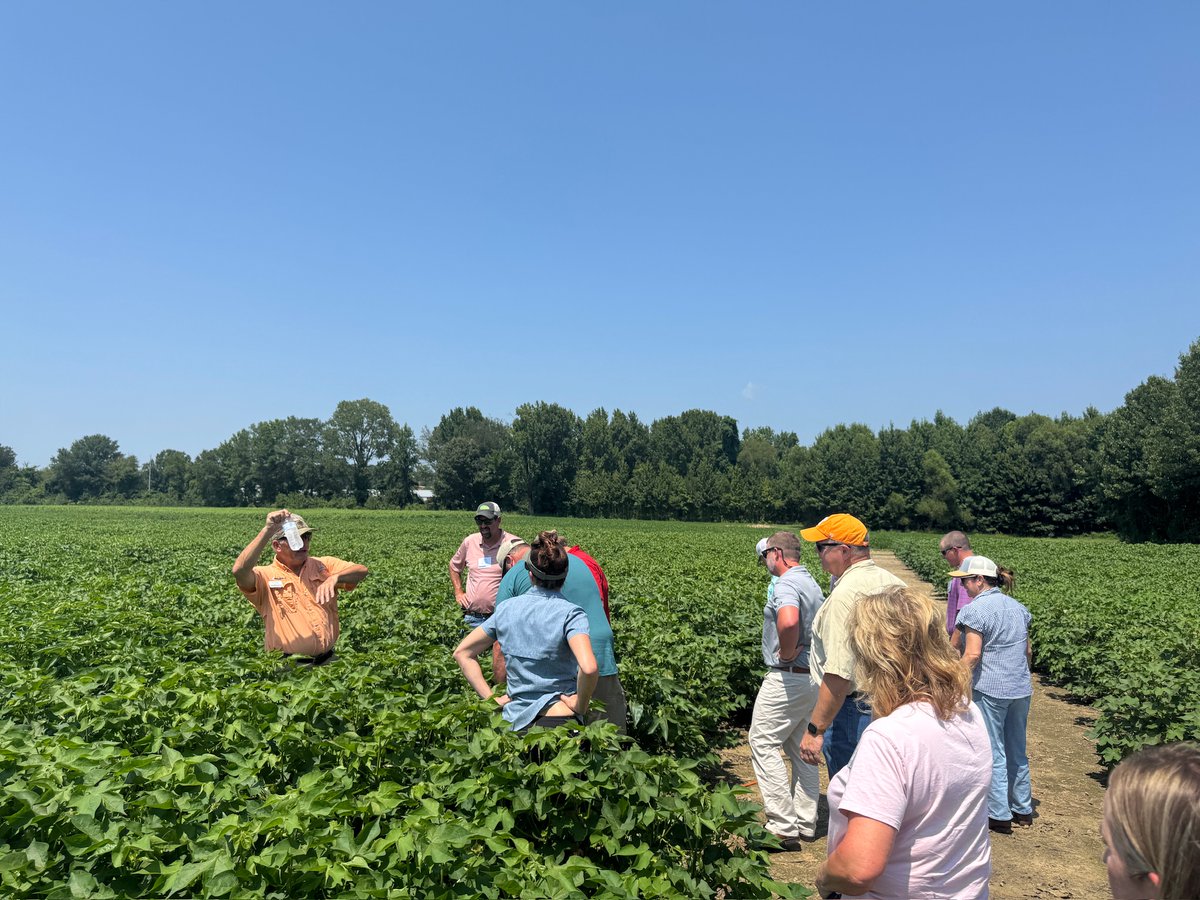 NCottonCouncil's tweet photo. The first day on the P.I.E. Tour kicked off in Memphis with the U.S. Army Corps of Engineers to learn about Mississippi River infrastructure and commerce. The day continued with a research-focused tour at the West TN AgResearch &amp; Education Center. 
#NCCPIETour2026 #NCCPIEwithBASF https://t.co/pyz3quWqr0
