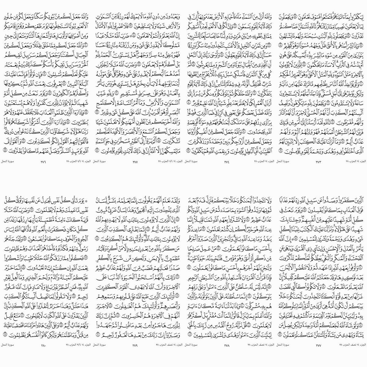 Ar20215's tweet photo. ورد يومي من #القران_الكريم
الجزء الرابع عشر
ختمة شهر   #صفر  
#اذكرو_الله_وصلوا_على_النبي
  #انشر_تؤجر. https://t.co/G0bWcw4pZg