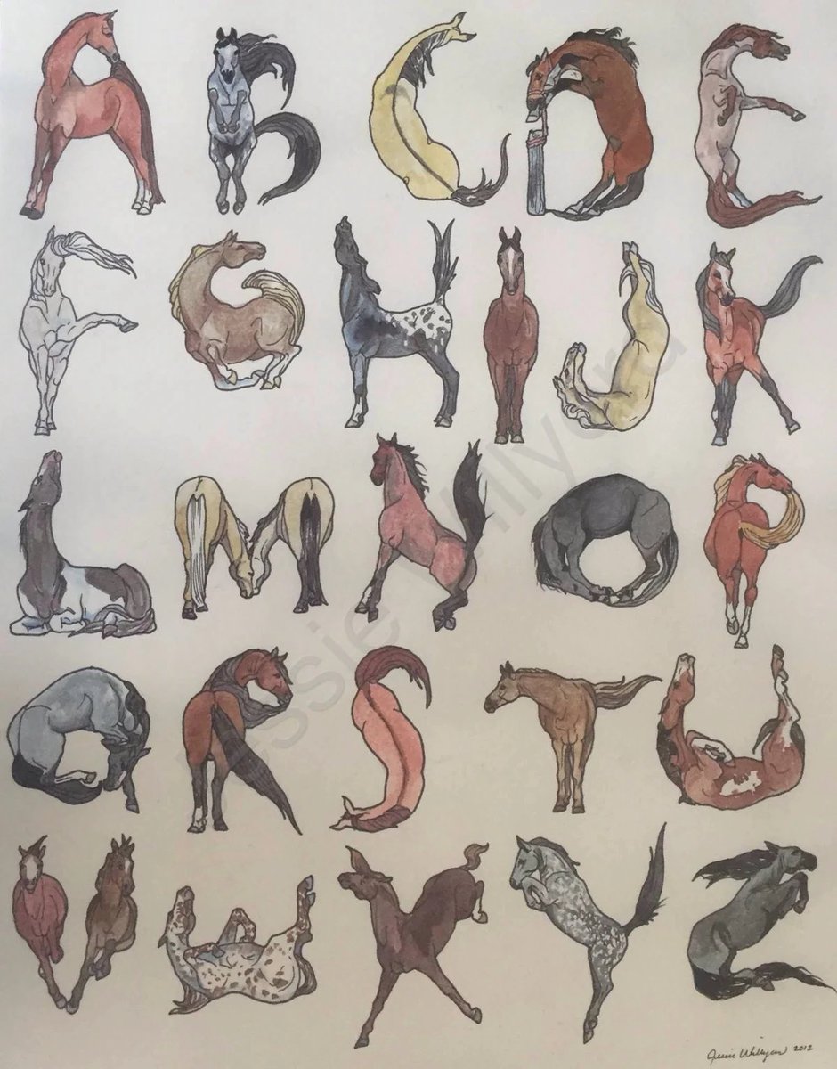 pmamtraveller's tweet photo. "Horses from A to Z" by Jessie Willyerd https://t.co/7vNC10g376