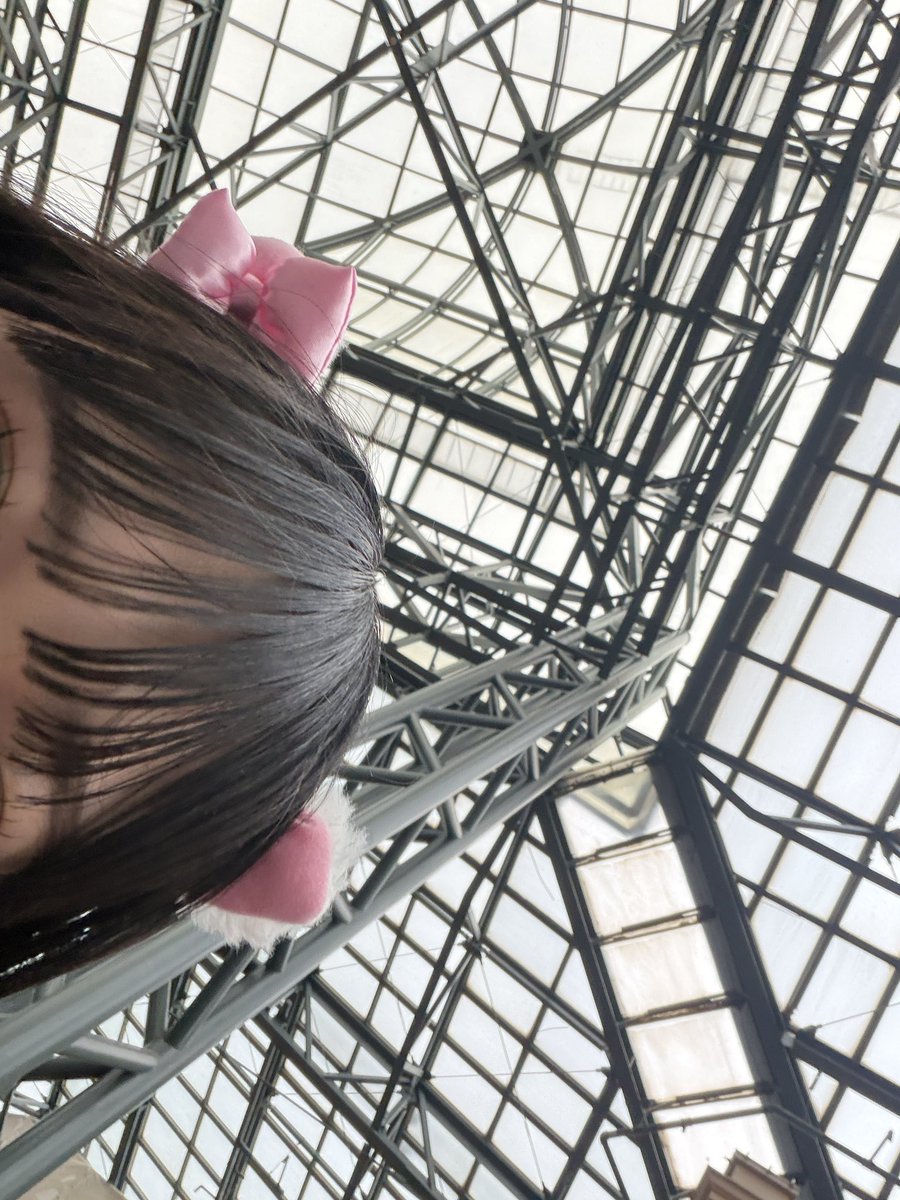 s2ln4's tweet photo. 🐈🤍🎀 https://t.co/cMjuscG3iK