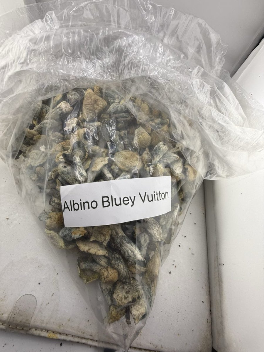 HempSup420's tweet photo. Mushrooms 🍄🔥📦✈️💯

Different Flavors
P: $600
Text: +1 7653352982

https://t.co/E25bbdXD4l https://t.co/7jZcWDUvcz
