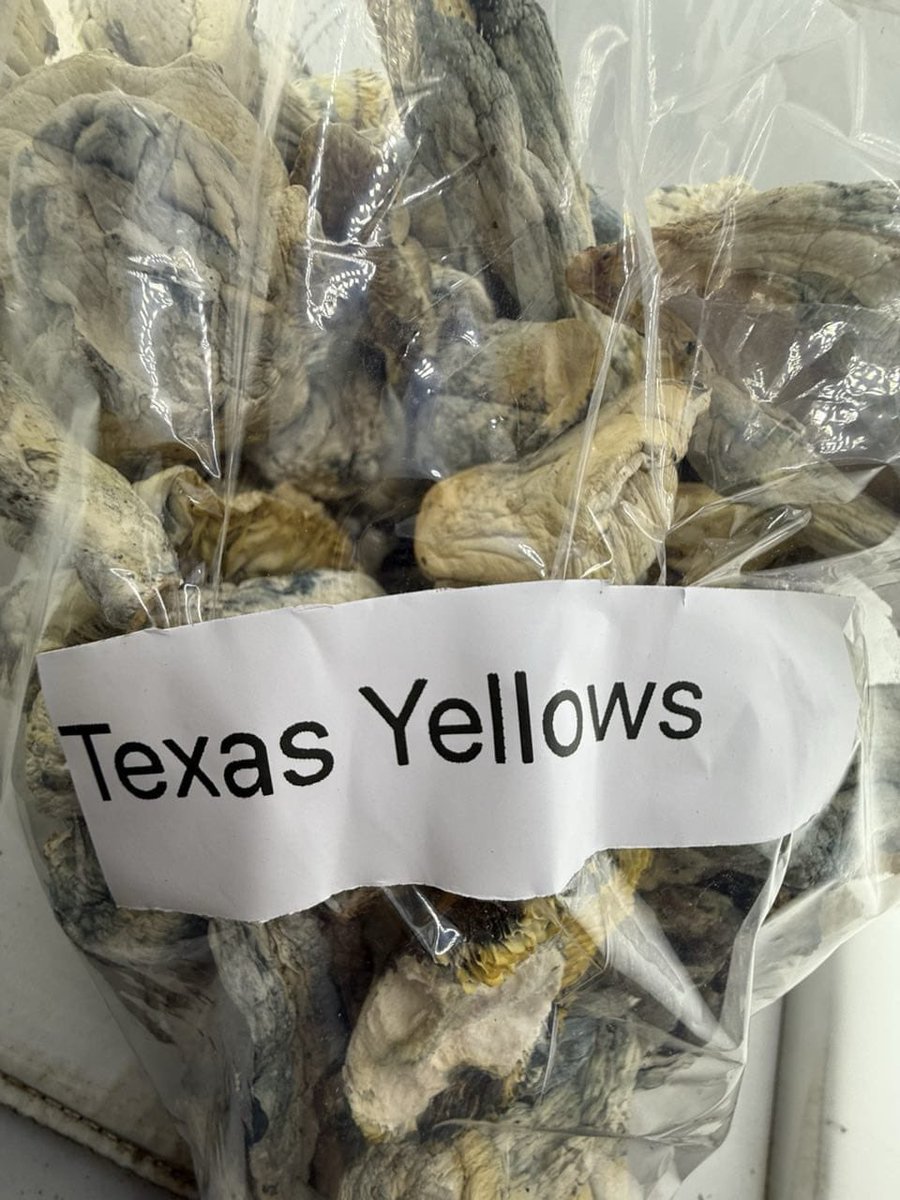 HempSup420's tweet photo. Mushrooms 🍄🔥📦✈️💯

Different Flavors
P: $600
Text: +1 7653352982

https://t.co/E25bbdXD4l https://t.co/7jZcWDUvcz