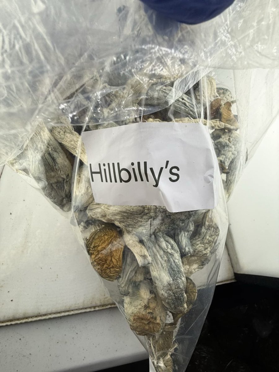HempSup420's tweet photo. Mushrooms 🍄🔥📦✈️💯

Different Flavors
P: $600
Text: +1 7653352982

https://t.co/E25bbdXD4l https://t.co/7jZcWDUvcz