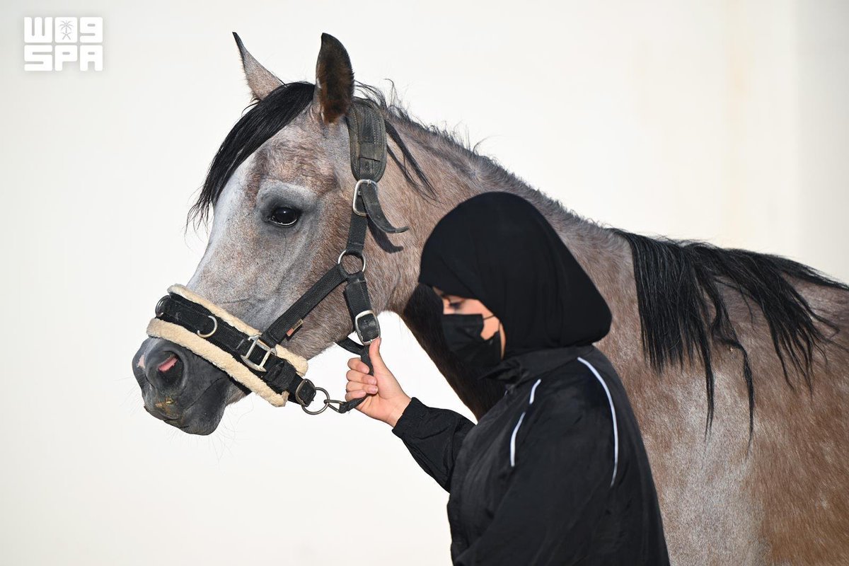 محمد آل فيه tweet media