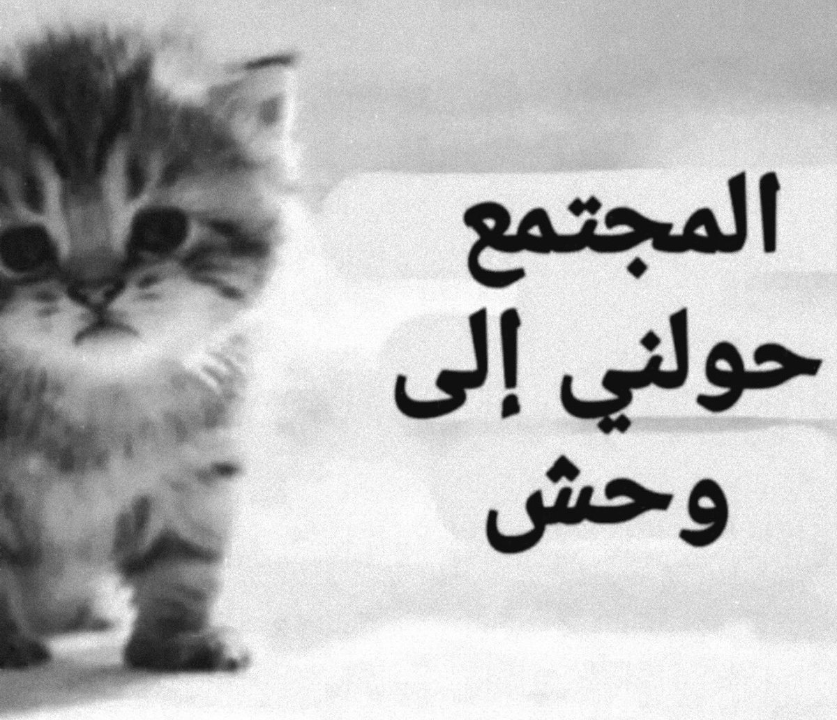 abdulrahman tweet media