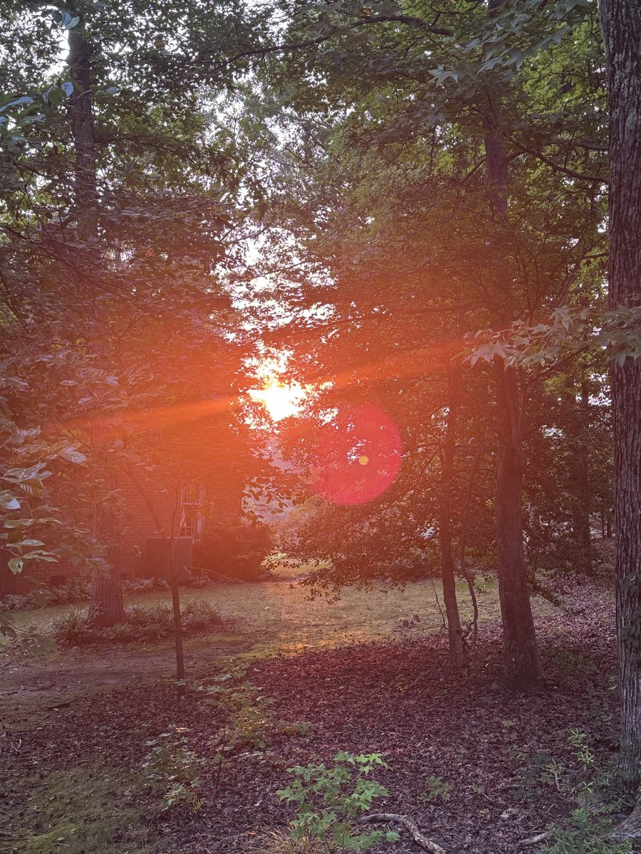 TheOtherLori's tweet photo. 3 miles on the hilly route. Saw the ball of fire in the sky, got paid to run, & ran with a cucumber. 🤣 #runchat #paid2run #neighborsproduce #chasingthesun https://t.co/vRXIUebTRP
