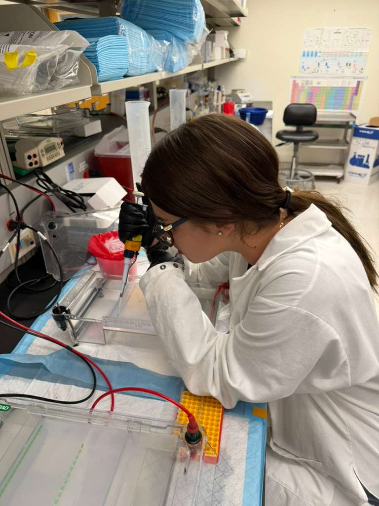 FIU_CEC's tweet photo. Biomedical engineering student Elyna Gonzalez spent her undergraduate years researching neurological diseases. Read how one conversation led to a journey in discovery. 🔗 https://t.co/v73AlQjLkj https://t.co/3Y6NW9OUEl