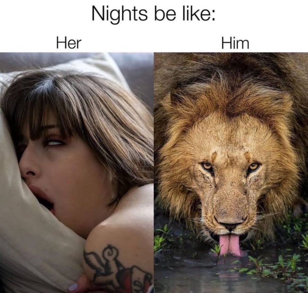 Kinkyking99's tweet photo. 100% this! Won’t be able to keep my tongue away!! https://t.co/0k9QH0qpit