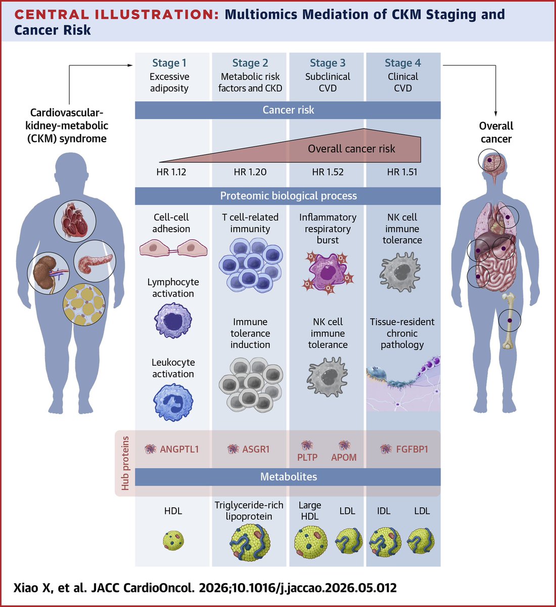 guidelinesMed's tweet photo. CKM Syndrome Associated With Increased, Stage-Specific Cancer Risk
Jul 27, 2026

https://t.co/17nLhO9yix https://t.co/T8PXzpVPuI