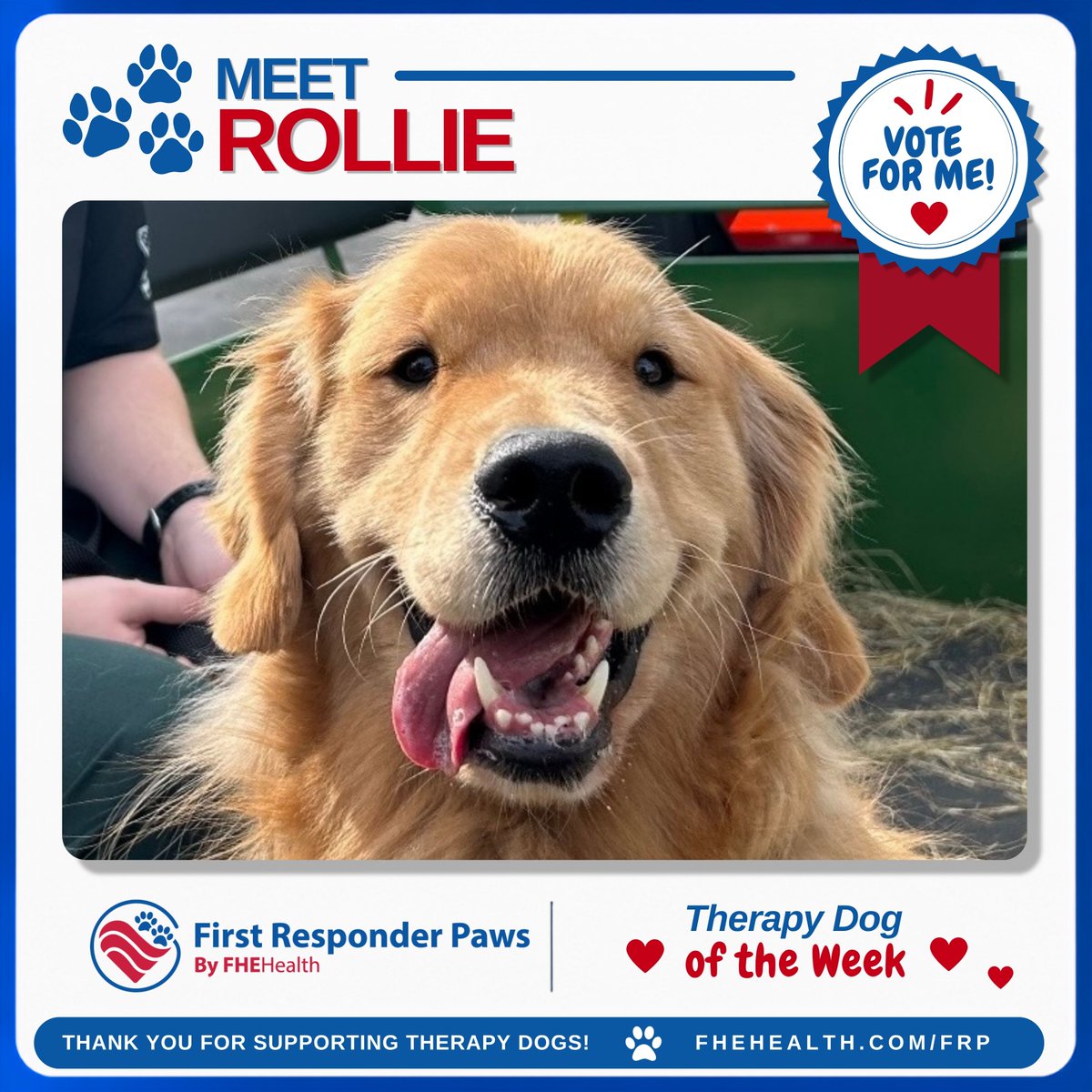 FHEHealth's tweet photo. ๐Say hello to our #FirstResponderPaws #TherapyDog of the Week, Rollie! This 4-year-old Golden Retriever serves the #LeeCounty Sheriff's Off. Crisis Care #K9 Unit and brings comfort & healing to families & individuals in crisis. https://t.co/u70PbT5Xh1 @Chewy @OscarTherapyDog https://t.co/nTTPC9y8eg